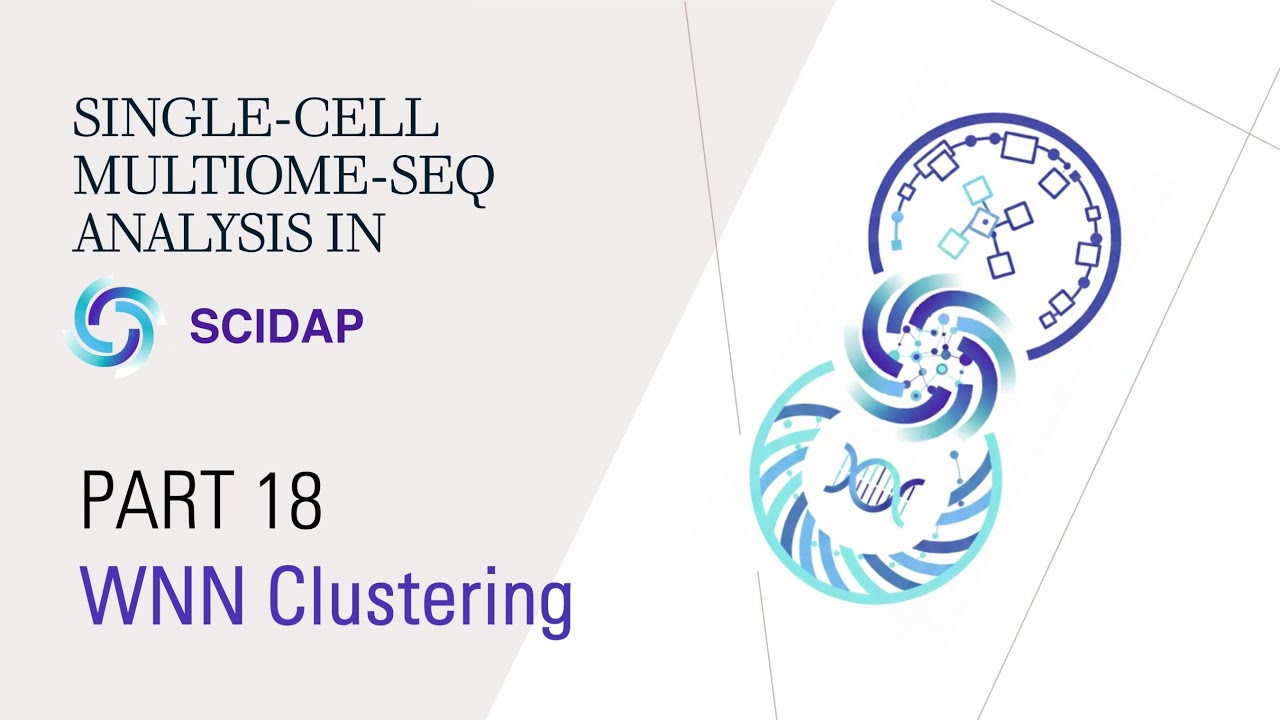 Single-cell Multiome (RNA+ATAC) Analysis 18: WNN Clustering