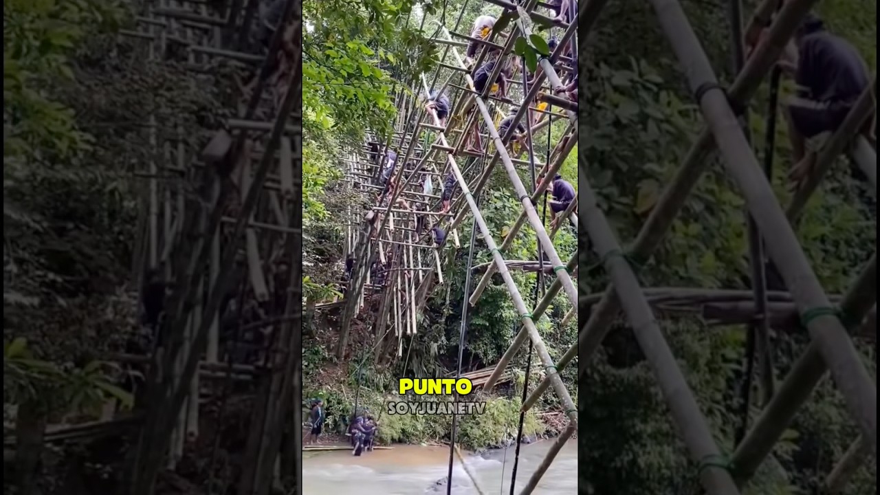 Estos hombres en #indonesia  construyeron un puente junto al rio con bambu. #shortsviral  #parte2