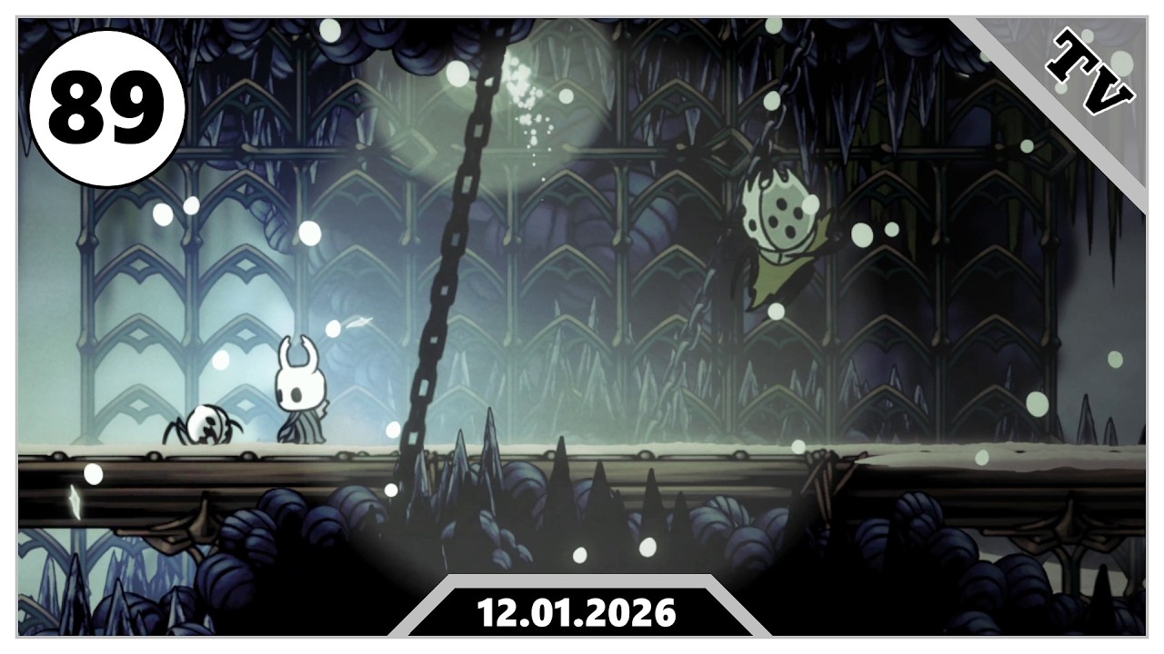 Auf eine erfolgreiche Jagd! 🪡 Hollow Knight [089]