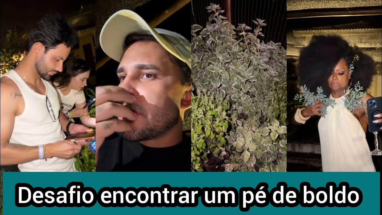 Lucas Guimarães chama os amigos pra ajudar encontrar um pé de boldo e fazer um chá de noite 