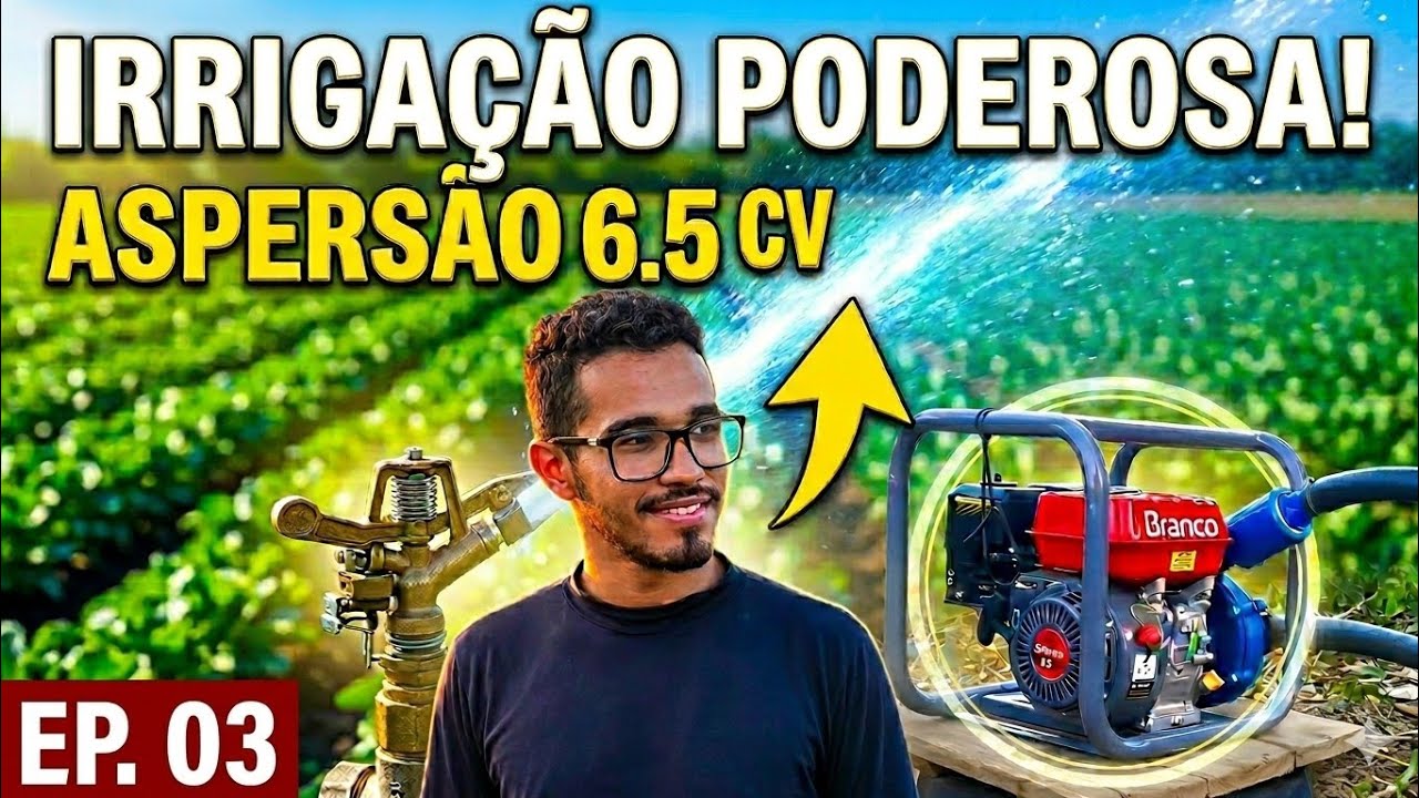 ✅SISTEMA de IRRIGAÇÃO por ASPERSÃO (BRANCO 6.5 CV)✅