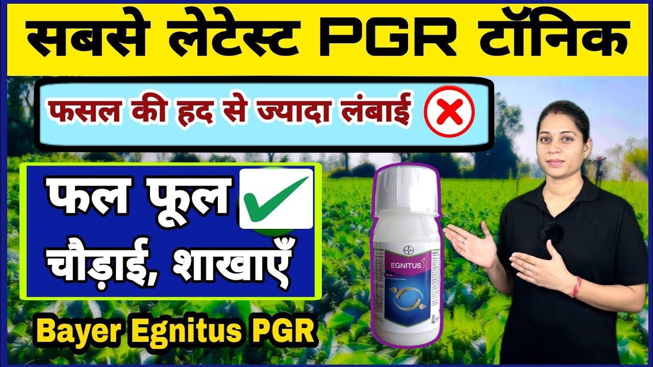 फसल में शाखाएँ फल फूल बढ़ाने वाला टॉनिक || Bayer Egnitus pgr || Bayer ignitus uses in hindi || Tonic