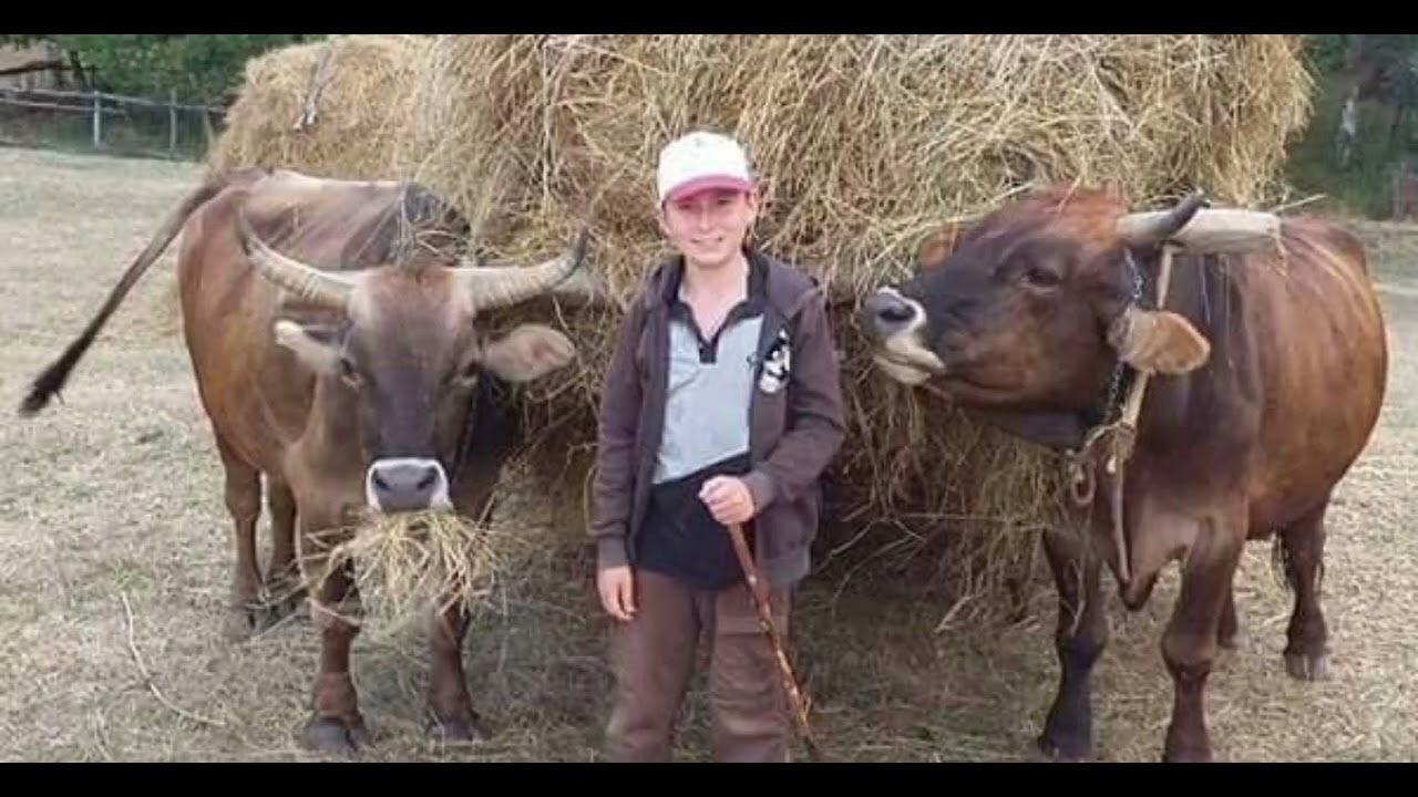 Ne Gelen Var Nede Giden (Hakkı Yerlioğlu)