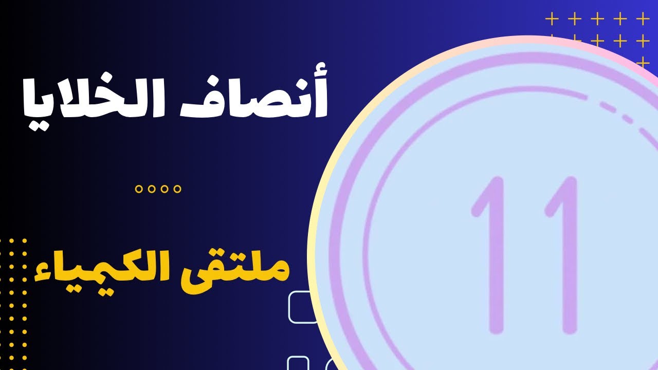 الحادي عشر | أنصاف الخلايا