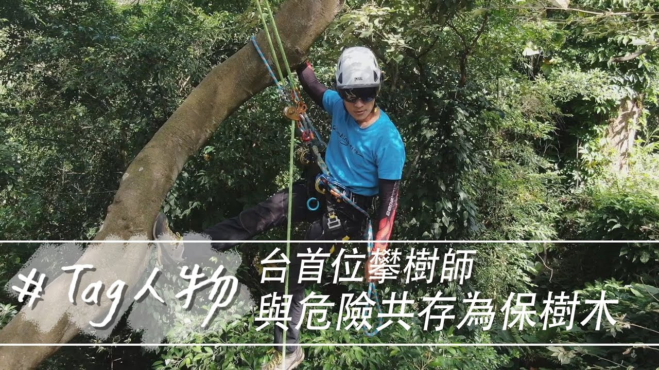 Tag人物/台首位攀樹師 與危險共存為保樹木