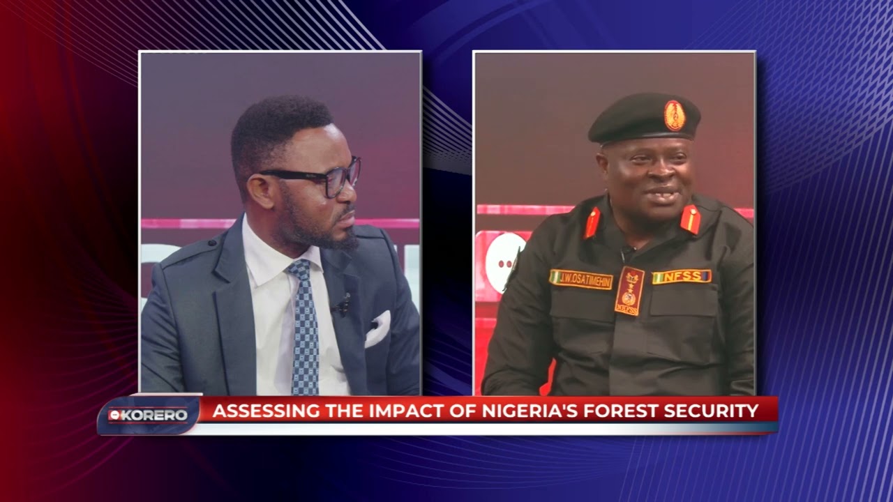 NIGERIA'S FOREST SECURITY AND BANDITRY