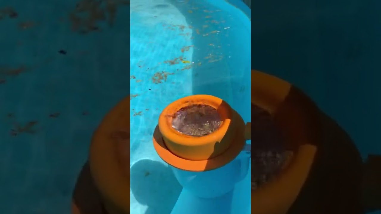 Bestway Flowclear Skimmer