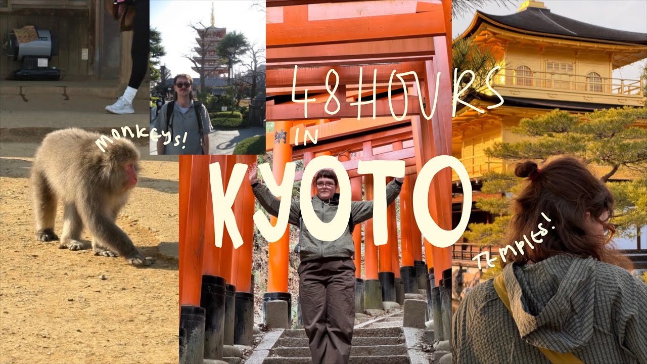 48 hours in Kyoto (Fushimi Inari, Kinkaku-Ji, Arashiyama) - maddy and frank travels