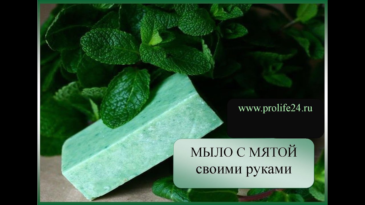 Мыло своими руками с мятой. Мыловарение из детского мыла.