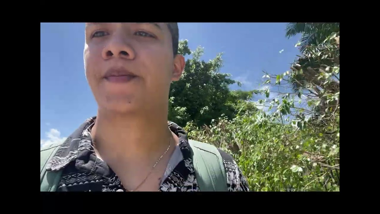 Ayahuasca Arc