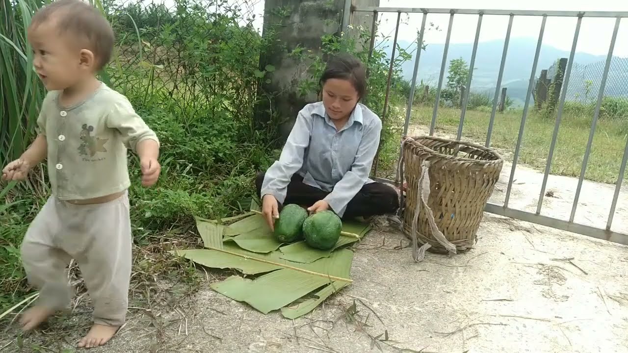Today, my mother and I went to pick papayas to sell. 