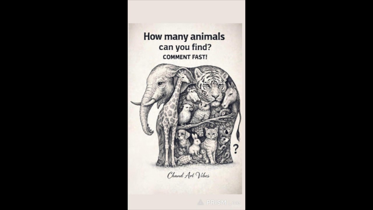 Only Genius Can Find All Animals 🧠🐘 | LIVE