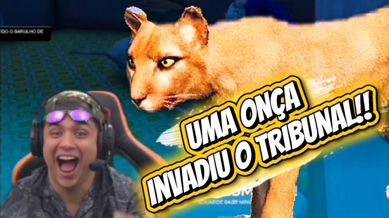 UMA ONÇA ATACOU TODO MUNDO NO TRIBUNAL !!! 🐆😱