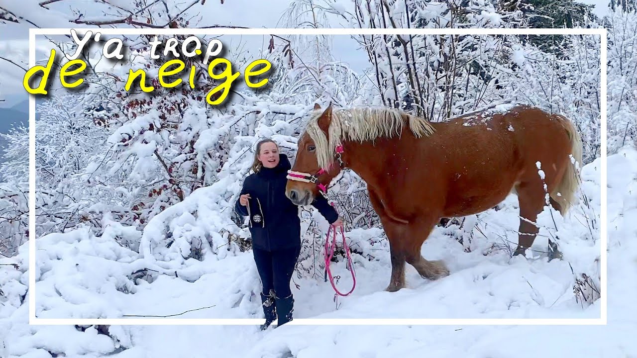 ON NE PEUT PAS BOUGER !⛄