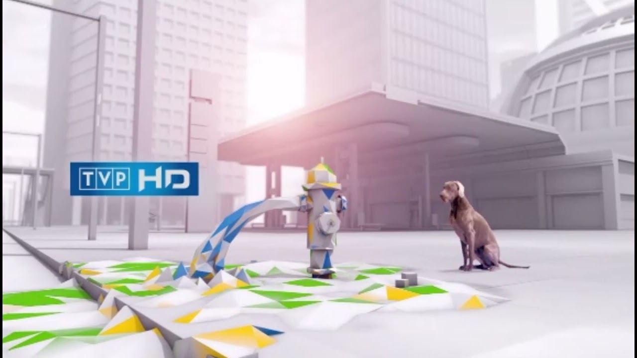 TVP HD - Wszystkie Identy z miastem (2013-2022?)