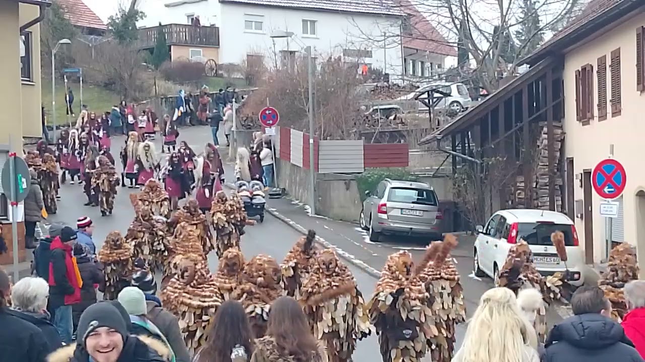 Tiermaskenumzug Boll (b.Hechingen) 2025 Teil1/2