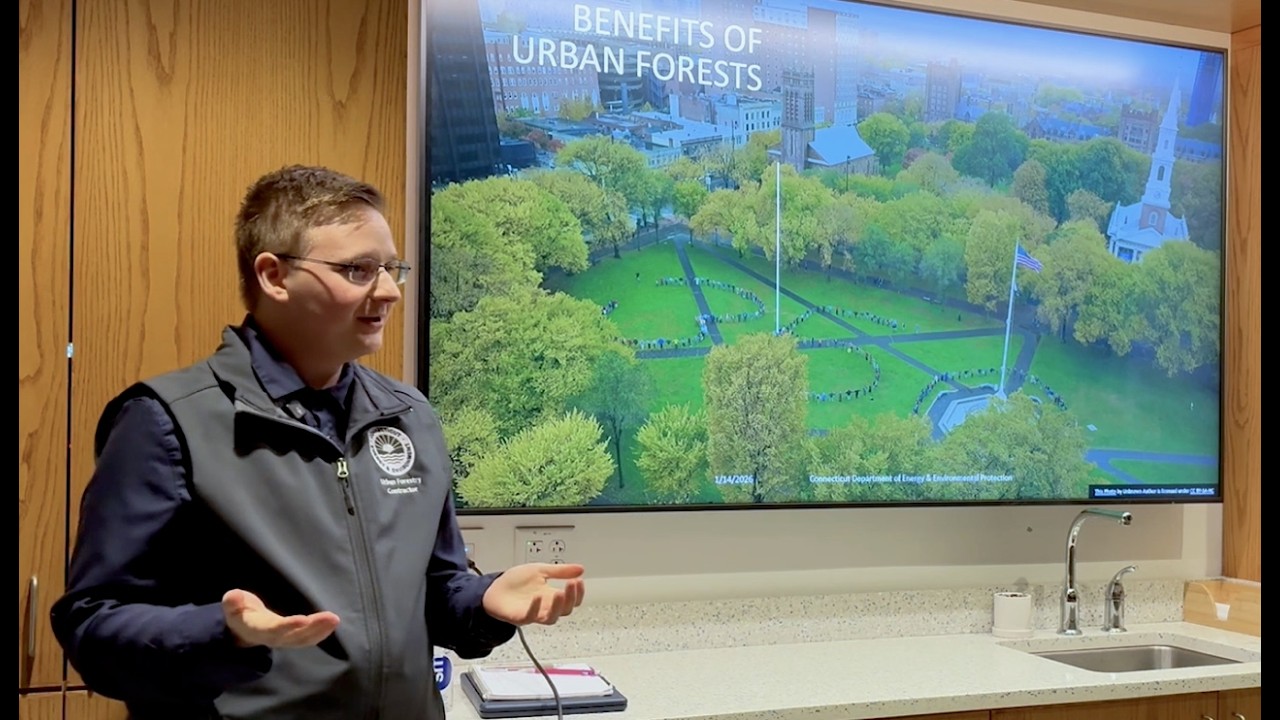 Rooted in Community: The Power of Trees - Urban Forests