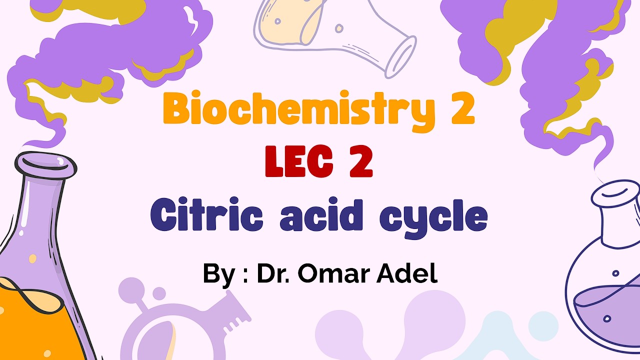 LEC 2 _  Biochemistry 2 _  Cytric Acid Cycle _ المحاضرة الثانية _ بايوكيمسترى 2
