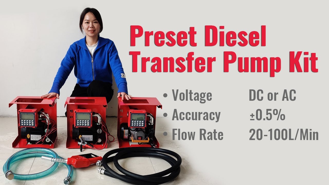 DC12V/24V AC220V Preset Diesel Transfer Pump Kit with OGM Digital Flow Meter