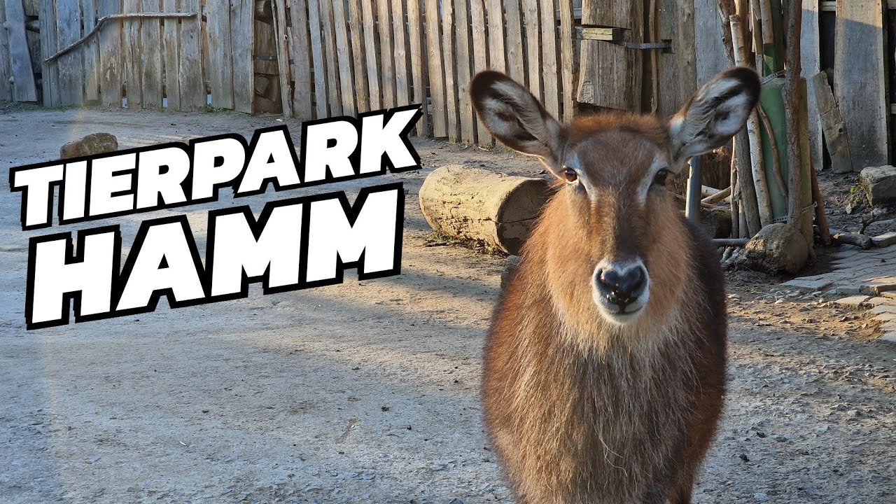 Tierpark Hamm
