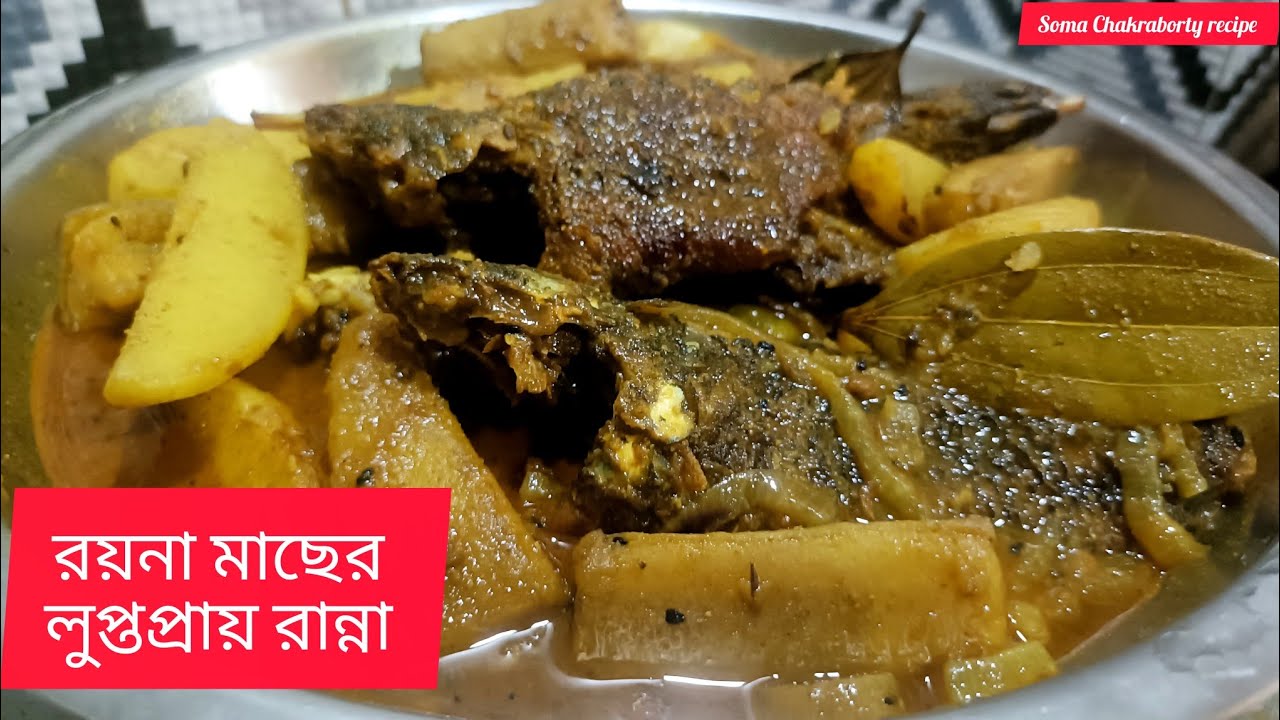 রয়না মাছ রেসিপি ।। ভ্যাদা মাছের লুপ্তপ্রায় রান্না একবার এইভাবে বানিয়ে নিন।। Roina Mach  recipe ♥️