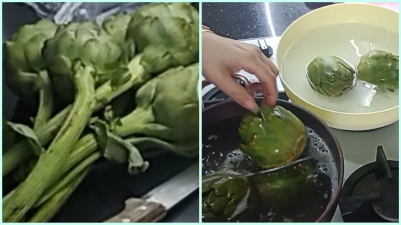 YAPRAKLI ENGİNAR DERİN DONDURUCUDA NASIL SAKLANIR 📣 YAPRAKLI ENGİNAR DONDURUCUYA KOYULURMU 📣