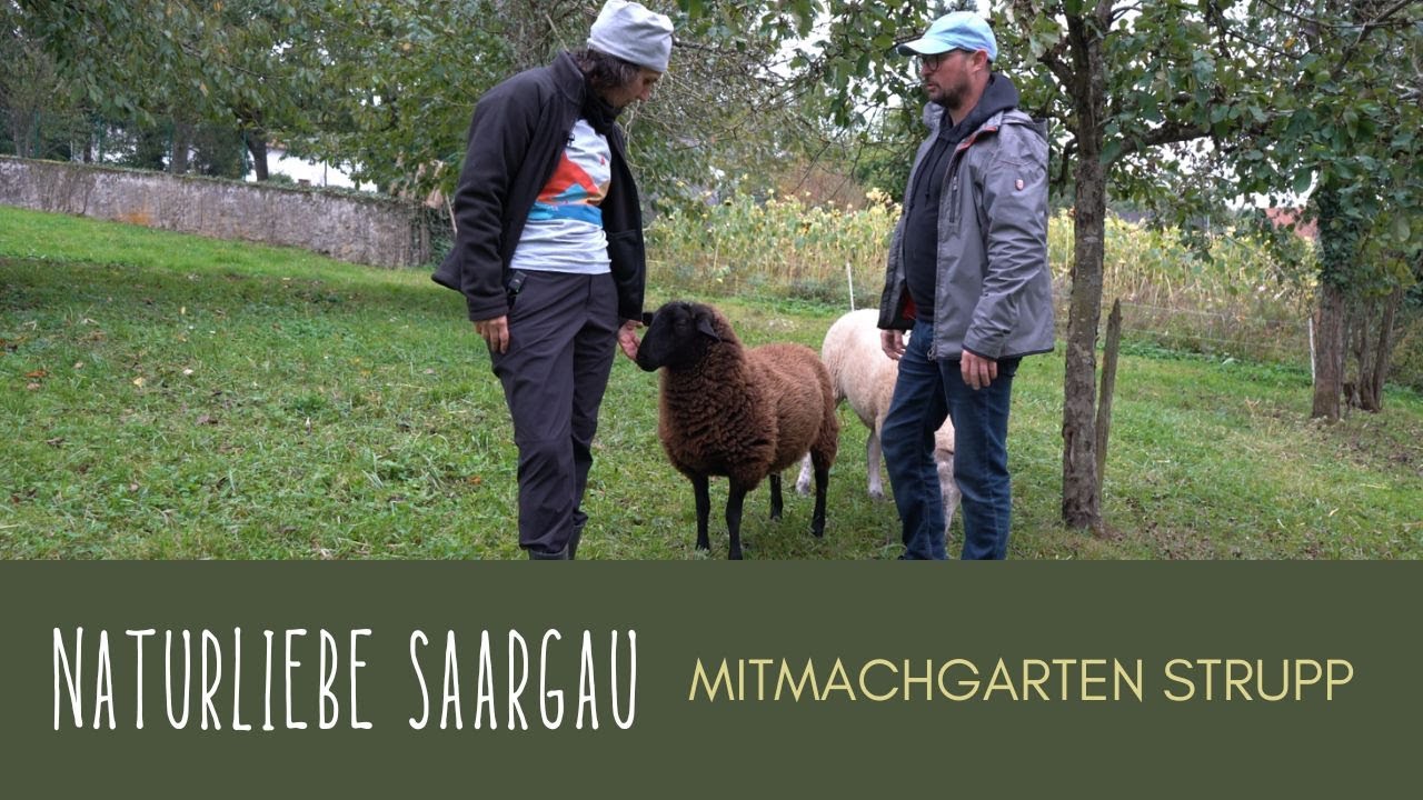 Wilder Mitmachgarten: Kürbisse im Baum, Eseldung und Gemeinschaft in Nennig! #naturliebesaargau