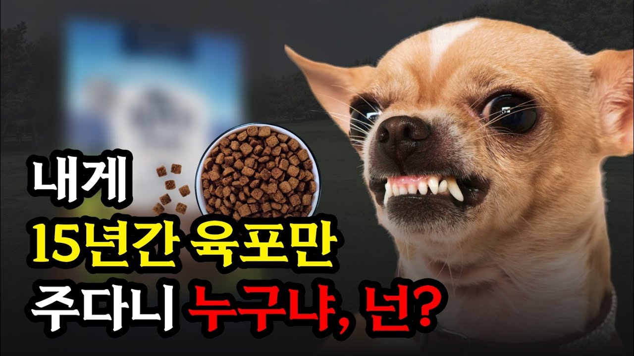 평생 한가지만 먹어야 한다면❓이 사료는 위험합니다🚨 ~ 구독자 분석 요청 사료 리뷰 ~