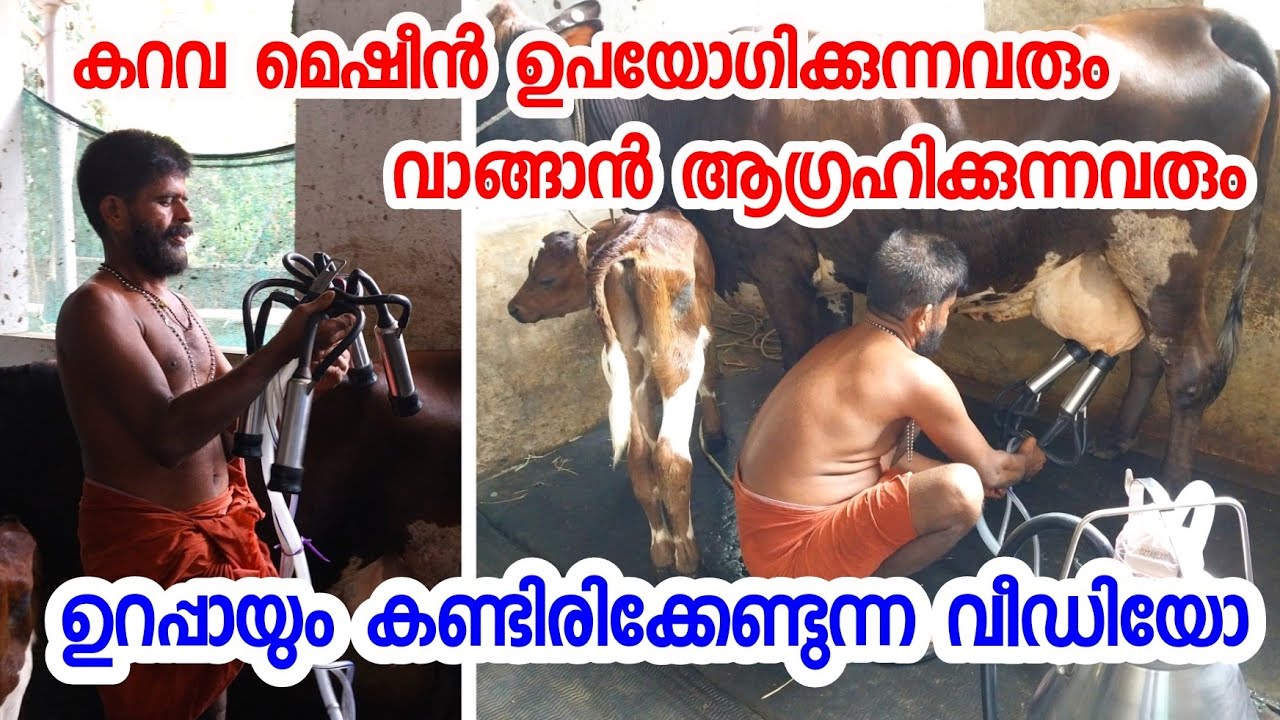 കറവ മെഷീൻ ഉപയോഗിക്കുന്നവരും, വാങ്ങാൻ ആഗ്രഹിക്കുന്നവരും ഉറപ്പായും കണ്ടിരിക്കേണ്ടുന്ന വീഡിയോ #cowfarm