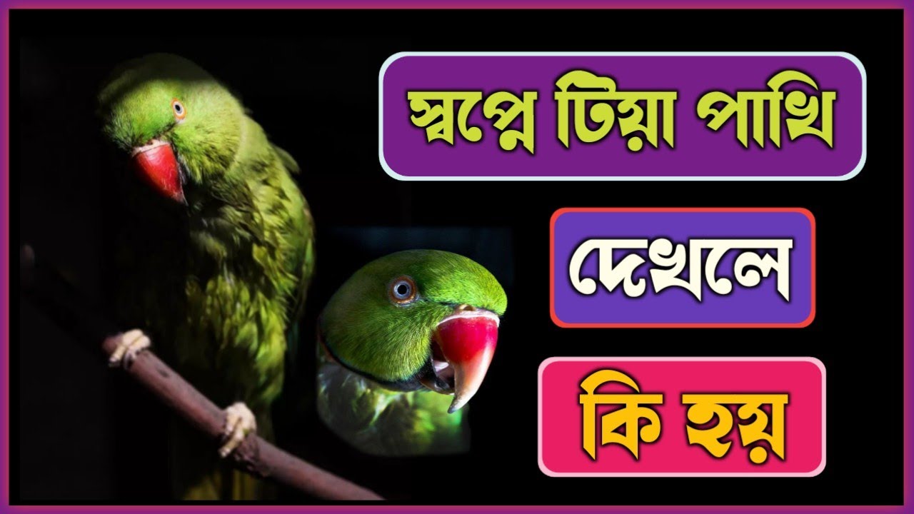 স্বপ্নে টিয়া পাখি দেখলে কি হয় | shopne tia pakhi dekhle ki Hoy | shopner bekkha | dreams meaning |