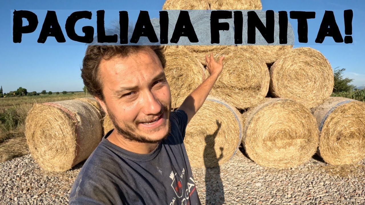 Straw 2023: Эпизод 3