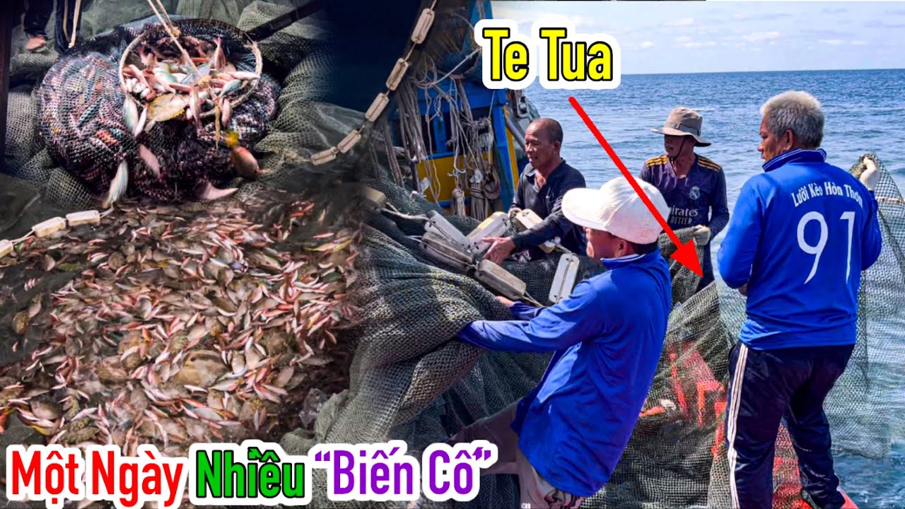 Lưới Bao Rạn 6 | Một Ngày Dài Gian Nan Vất Vả Của Ngư Dân | Từ 7h Sáng Đến 11h Đêm | Sơn Phú Quốc