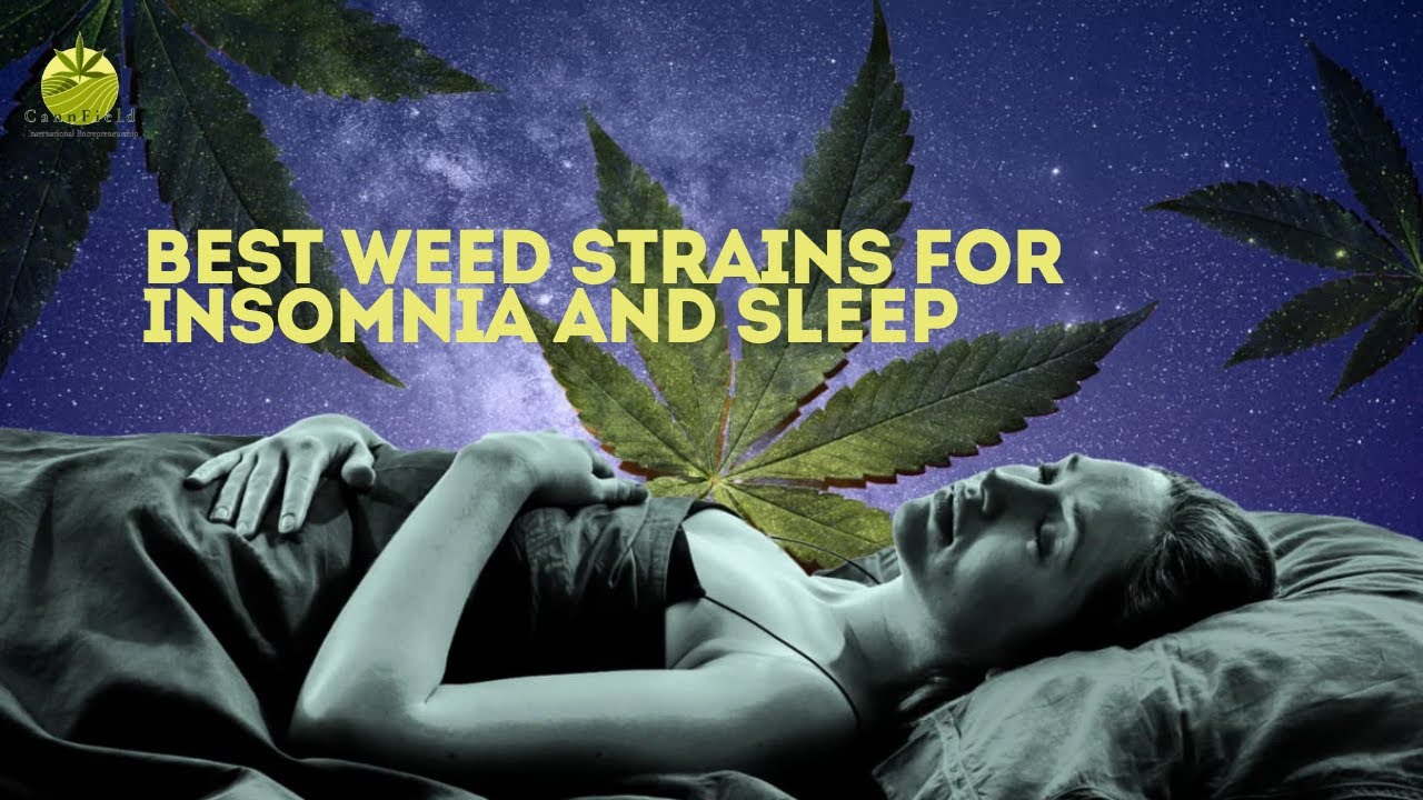 SMOKE THIS NOT THAT: TOP WEED STRAINS TO SMOKE BEFORE BED (Best Strains For Insomnia)