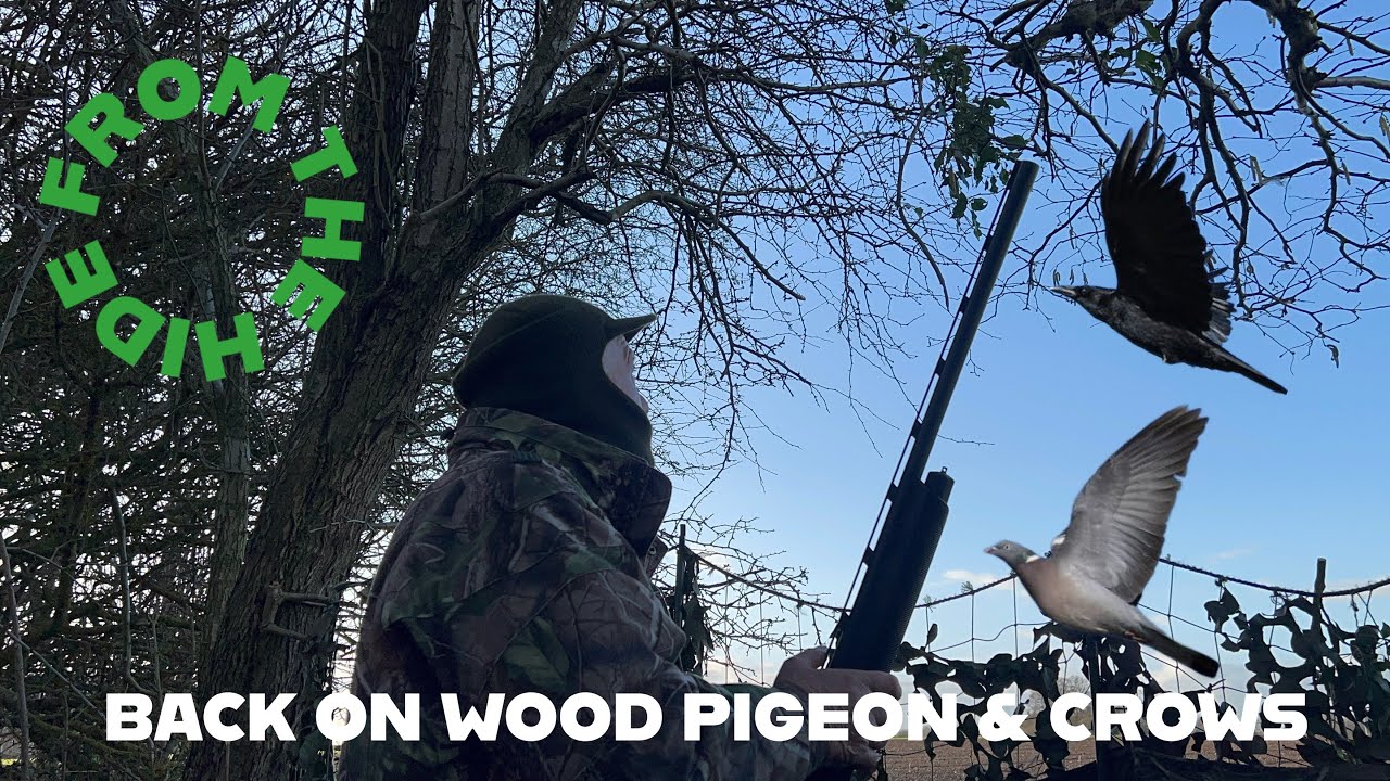 WOOD PIGEON & CROW SHOOTING - FROM THE HIDE - EPISODE 12
