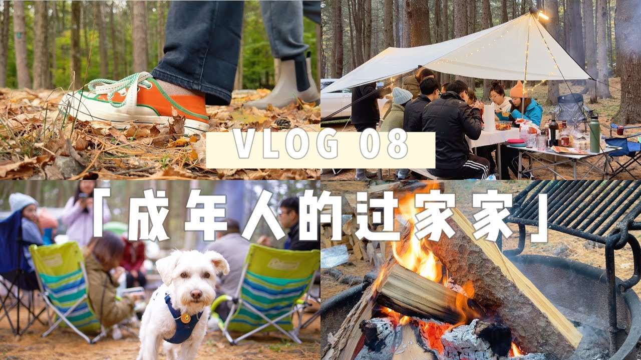 vlog 08｜Taconic State Park Two Day Camping⛺️｜Hot Pot｜Smoked Salmon Bagel｜Snow Peak Tramezzino