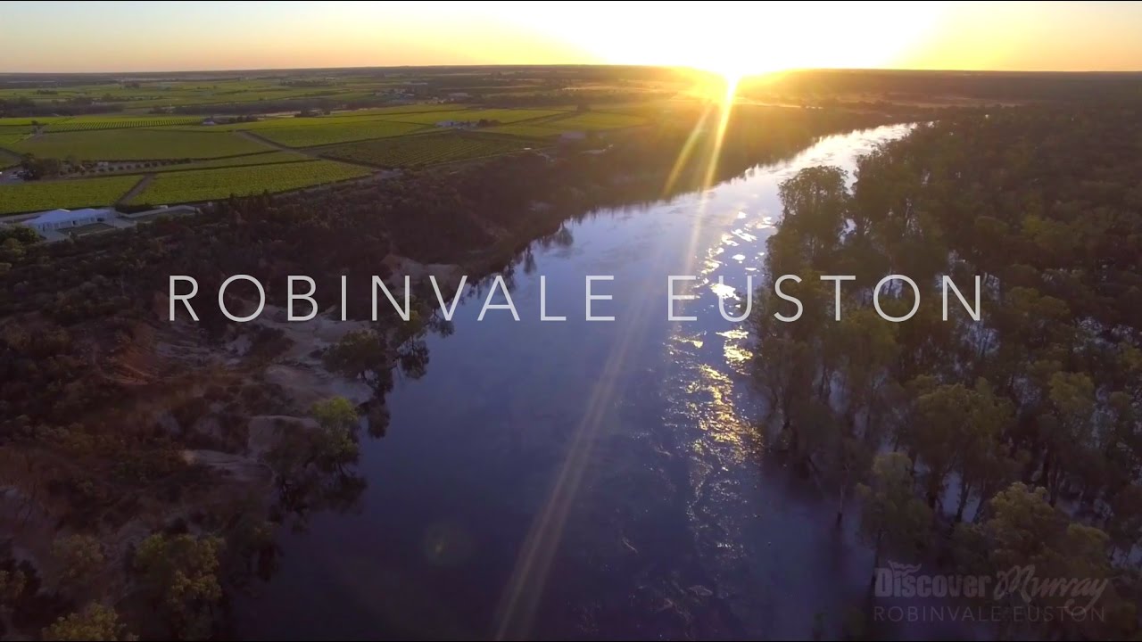 Murray River Bird aerial video - Robinvale Euston 2016 - Discover Murray River
