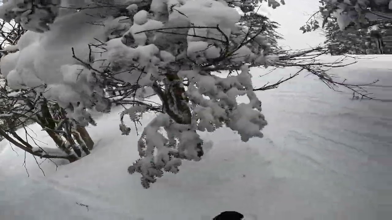 Jay peak 2026 timbuktu glades