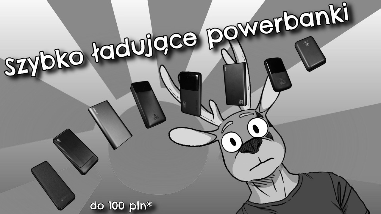 [Szambo Technologiczne?] Tanie powerbanki z szybkim ładowaniem (do 100pln?)
