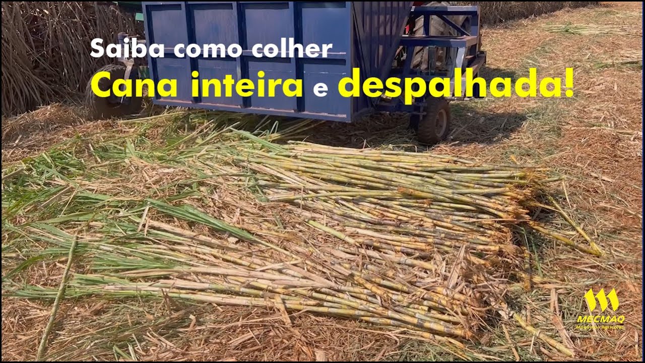 MEC COLHE - COLHEDEIRA DE CANA INTEIRA E DESPALHADA