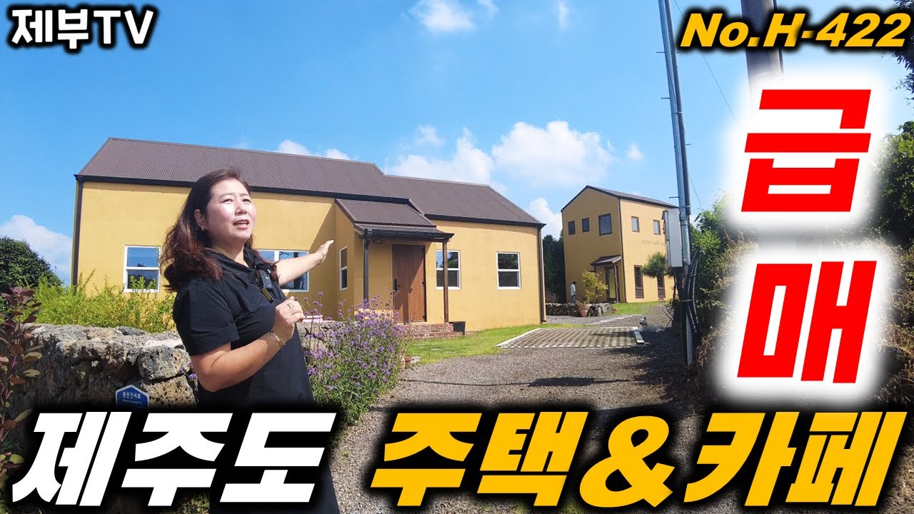 (급매) 유럽 아닌 제주 입니다 제주도의 숨겨진 보석 같은 곳이네요
