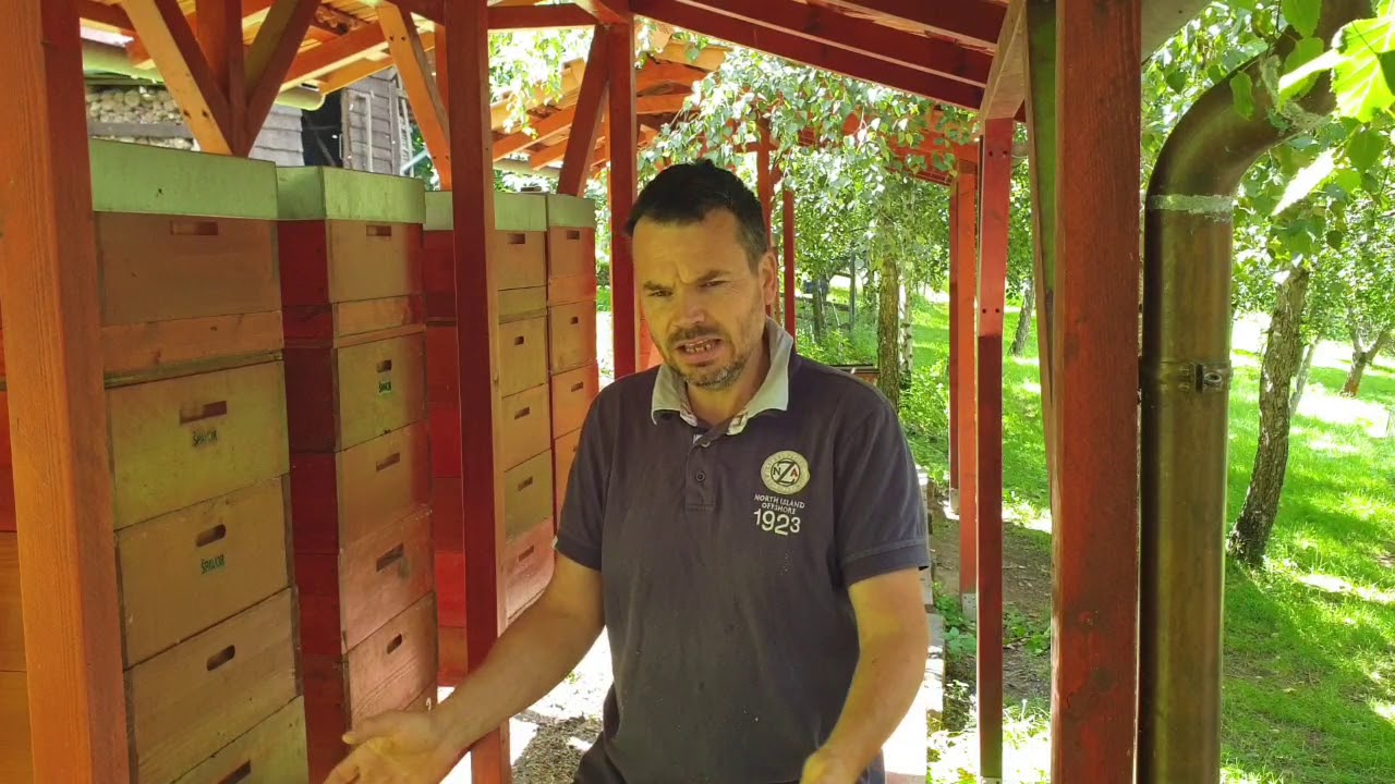 Krmení na zimu čtvrté- 24kg, zůžení česen, oddělky,  12.7.2020