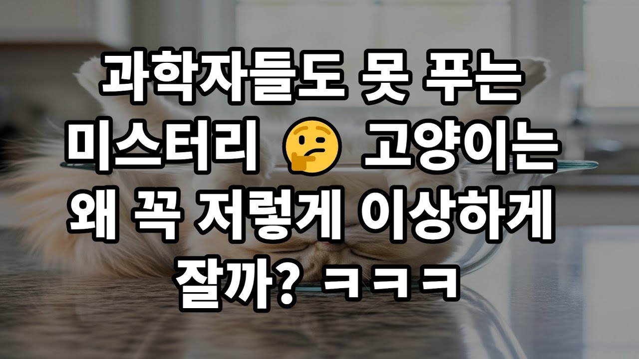 고양이는 왜 이상하게 잘까?