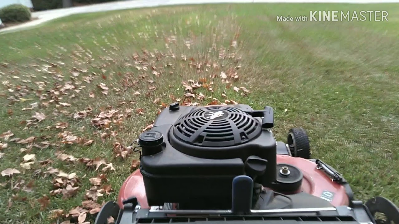 Toro Timemaster 30 Bagging Leaves POV