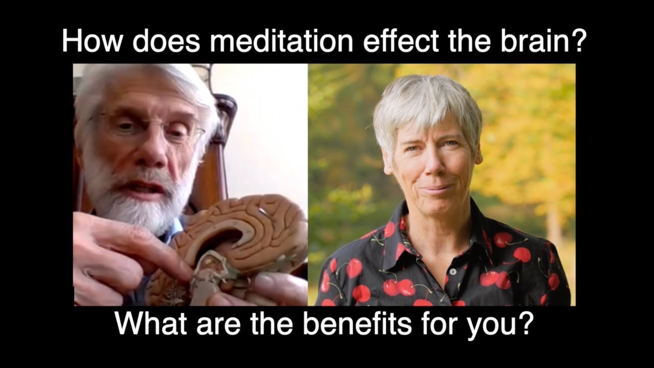 4. What affect does meditation have on the amygdala? (stress and anxiety part of brain).
