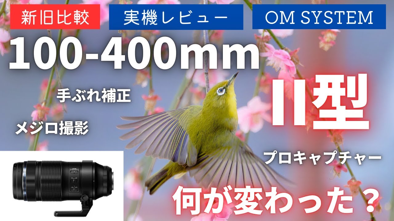 【新旧比較】M.ZUIKO DIGITAL ED 100-400mm F5.0-6.3 IS II型 vs I型  新型超望遠レンズの実力を検証【OM SYSTEM】
