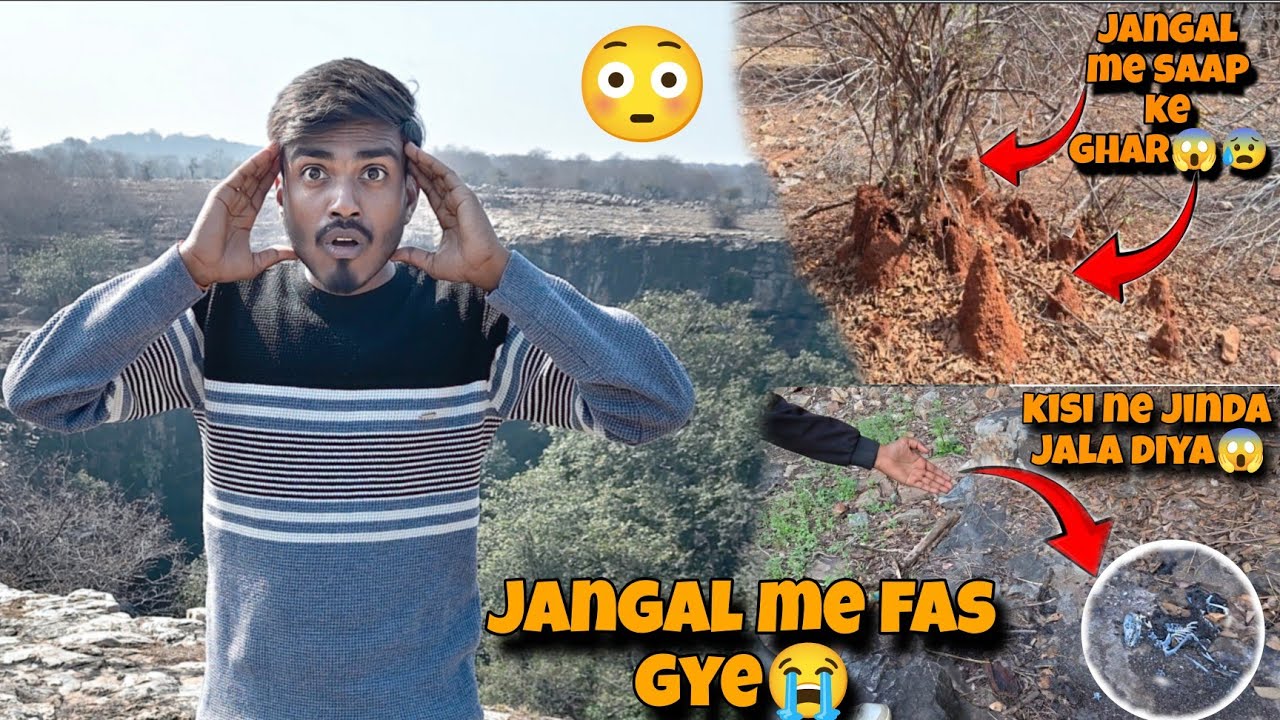  बंदर को जिंदा जला दिया 😭 ||  जंगल Me Hum Log Fas Gye Hai😱😰
