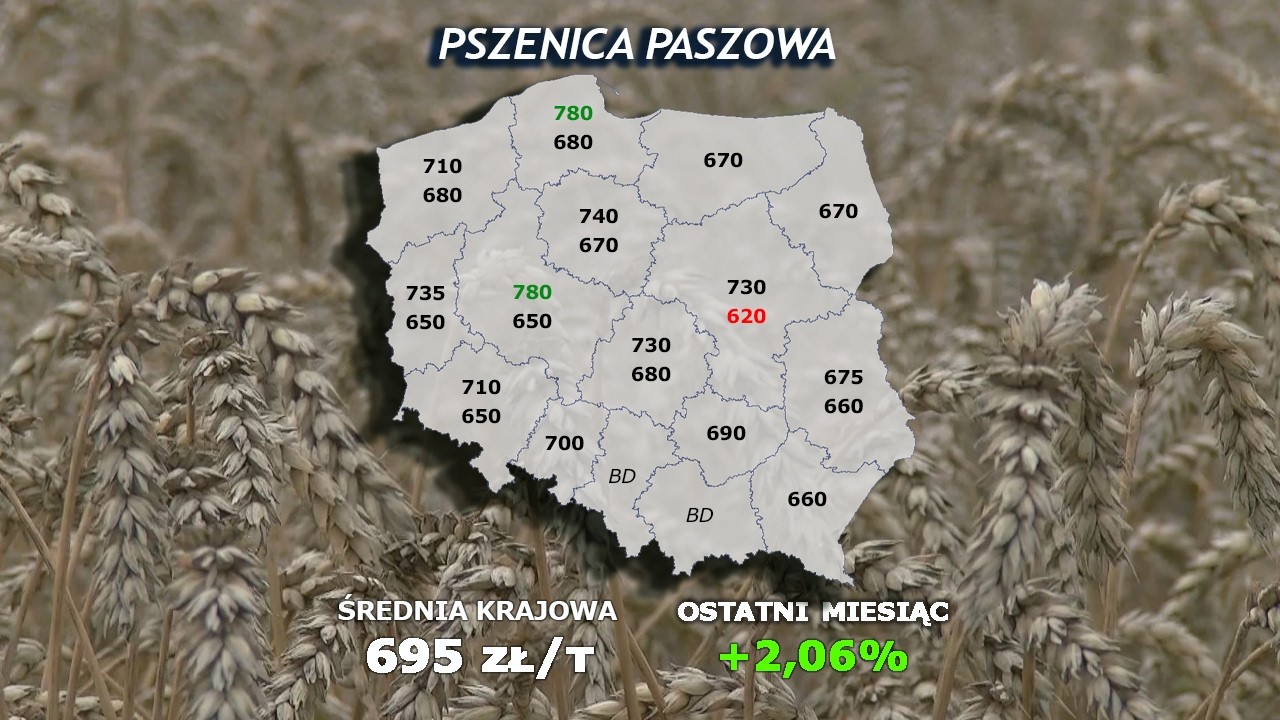 #328 agro wiadomości nonstop - 24.03.2026