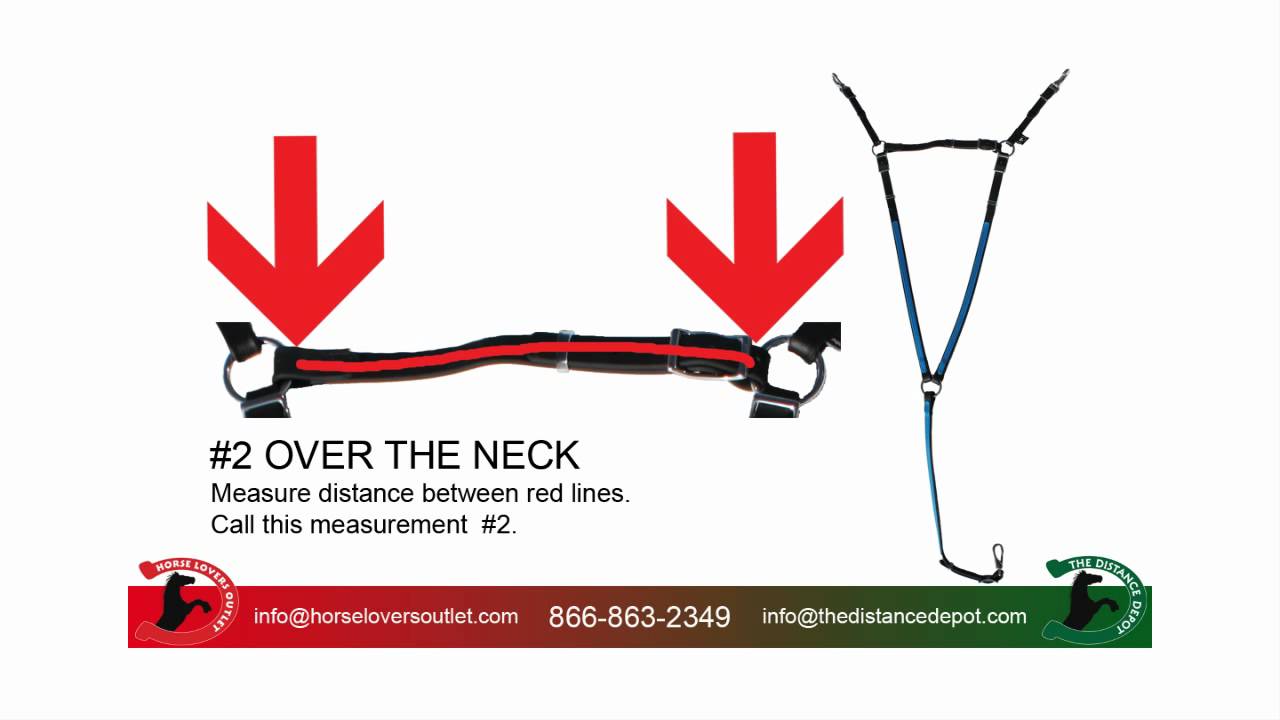 Breast Collar Sizing