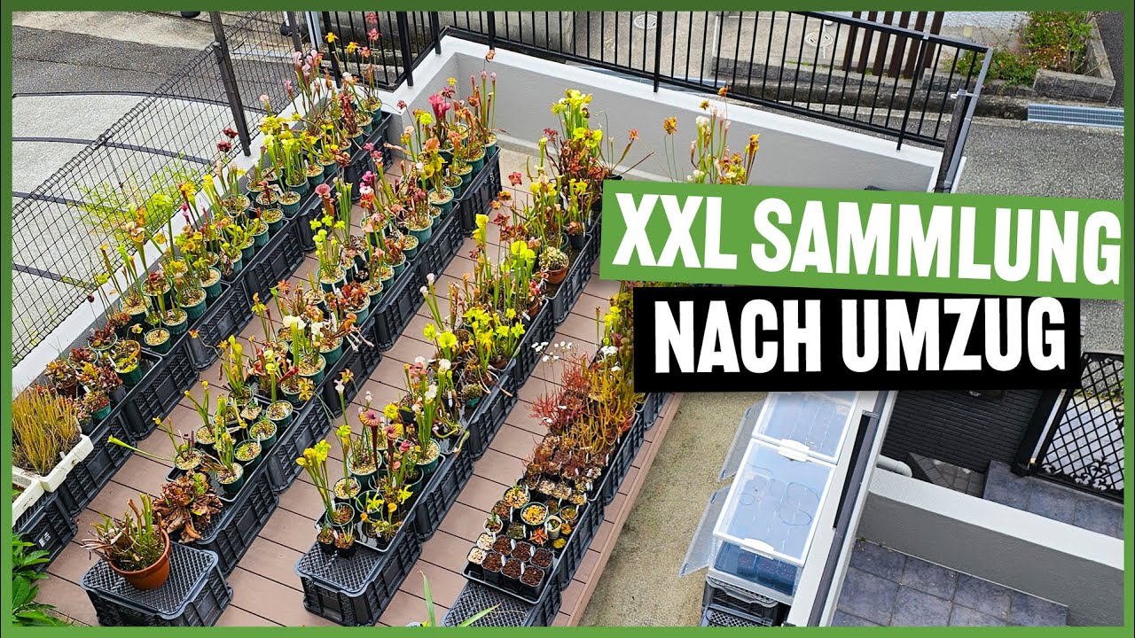 Terrasse, Garten und Growtent - Einzigartige Sammlung bei Cohay Tanaka in Japan #325