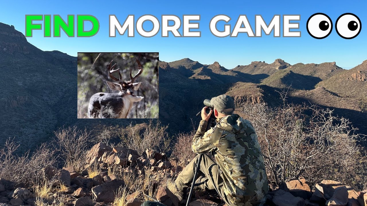 Find MORE Game - Glassing TIPS